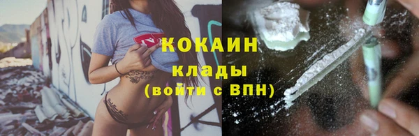 PSILOCYBIN Армянск
