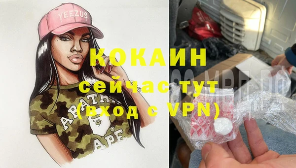 PSILOCYBIN Армянск